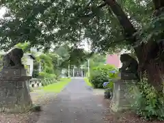 平出雷電神社(栃木県)