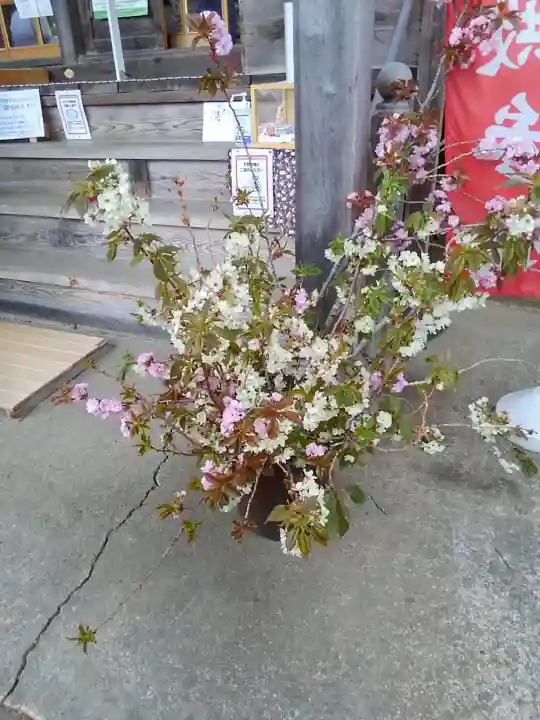 高司神社〜むすびの神の鎮まる社〜の自然