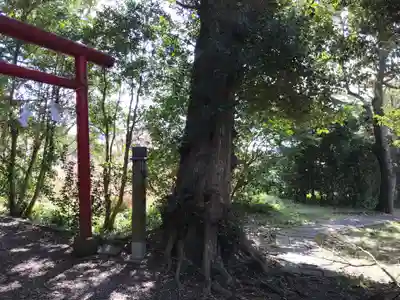 相生神社のその他建物