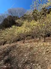 羽黒山神社(栃木県)