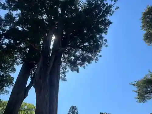 瑞巌寺(宮城県)