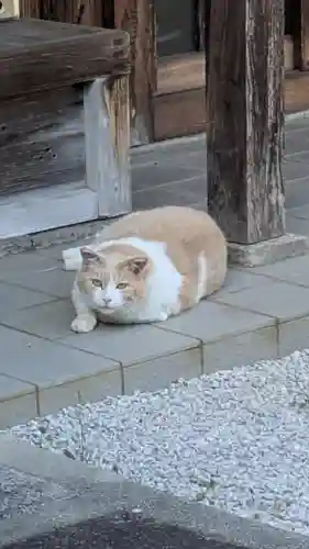 順照寺(滋賀県)