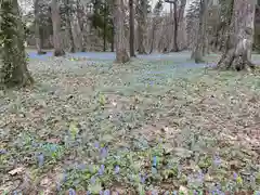 浦臼神社(北海道)