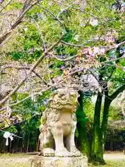 金村別雷神社(茨城県)