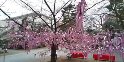 桜神宮のその他建物