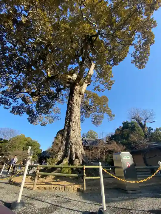 鹿苑寺(金閣寺)の{uncategorized: "未分類", other: "その他", undefined: "問題あり", building: "その他建物", grave: "お墓", sacred_gate: "鳥居", guardian: "狛犬", statue: "像", buddha: "仏像", history: "歴史", nature: "自然", garden: "庭園", animal: "動物", pagoda: "塔", temizu: "手水舎", mountain_gate: "山門・神門", sanctuary: "本殿・本堂", subordinate: "末社・摂社", art: "芸術", scenery: "景色", jizo: "地蔵", ema: "絵馬", goshuin: "御朱印", omikuji: "おみくじ", items: "授与品その他", amulet: "お守り", goshuincho: "御朱印帳", eats: "食事", festival: "お祭り", votive_dance: "神楽", shichigosan: "七五三参", wedding: "結婚式", experience: "体験その他", initially: "初詣", around: "周辺", anti_infection: "感染症対策"}