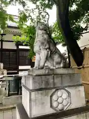 鳥越神社の狛犬