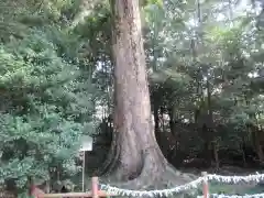 宇治上神社(京都府)