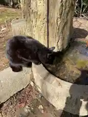 玉野御嶽神社の動物