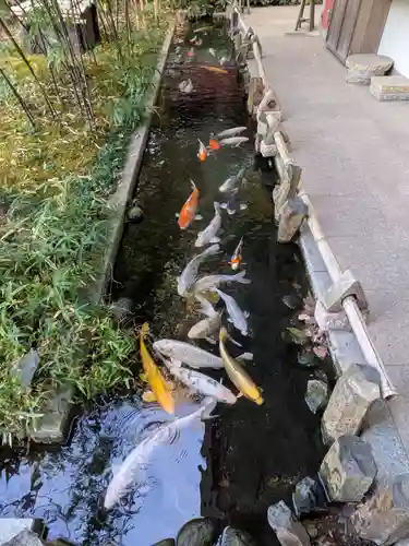 秩父神社(埼玉県)