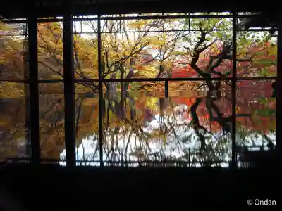 光明寺瑠璃光院(京都府)