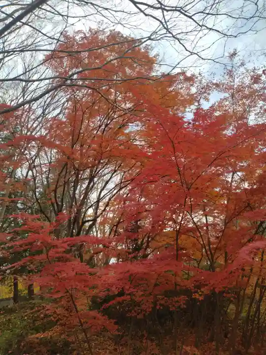 高音寺(宮城県)