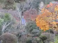 法雲寺の景色