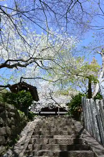 大宝寺(愛媛県)