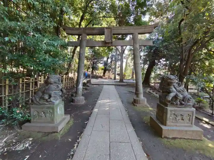 渋谷氷川神社の鳥居