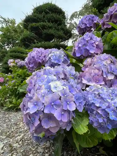 法船寺(長野県)
