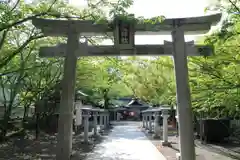 鳥取神社の鳥居