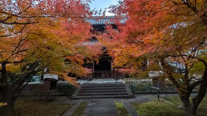 興聖寺(京都府)