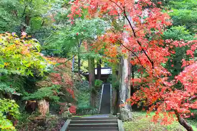 春日神社のその他建物