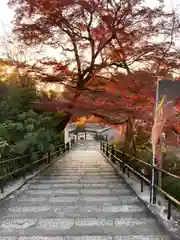 岡寺（龍蓋寺）(奈良県)