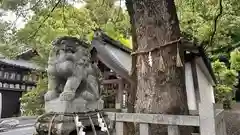 岩屋神社(京都府)