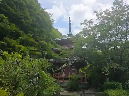 三室戸寺(京都府)