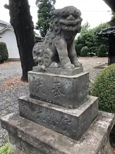 深作氷川神社の狛犬