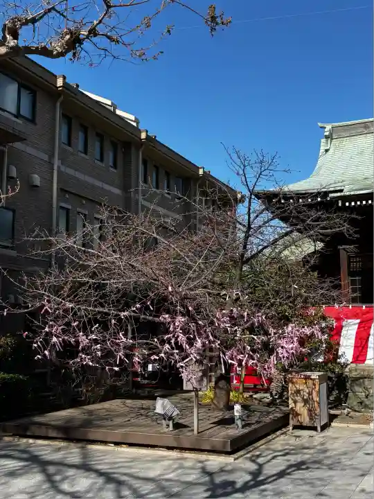 桜神宮(東京都)