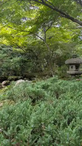 桂徳院(京都府)
