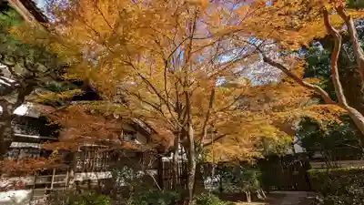 龍安寺(京都府)