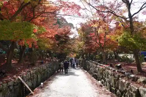 興聖寺（興聖寶林禅寺）の景色