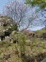 青龍山 吉祥寺(群馬県)