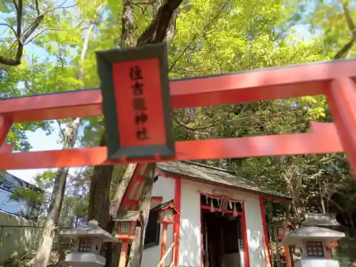 服部住吉神社の鳥居