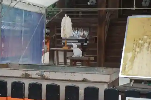 宇治神社の本殿・本堂