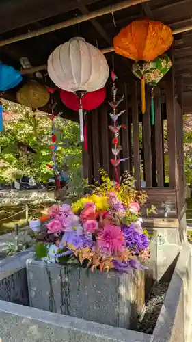 勝林寺(京都府)