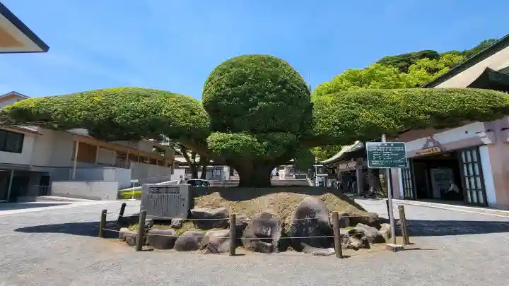 照國神社の{uncategorized: "未分類", other: "その他", undefined: "問題あり", building: "その他建物", grave: "お墓", sacred_gate: "鳥居", guardian: "狛犬", statue: "像", buddha: "仏像", history: "歴史", nature: "自然", garden: "庭園", animal: "動物", pagoda: "塔", temizu: "手水舎", mountain_gate: "山門・神門", sanctuary: "本殿・本堂", subordinate: "末社・摂社", art: "芸術", scenery: "景色", jizo: "地蔵", ema: "絵馬", goshuin: "御朱印", omikuji: "おみくじ", items: "授与品その他", amulet: "お守り", goshuincho: "御朱印帳", eats: "食事", festival: "お祭り", votive_dance: "神楽", shichigosan: "七五三参", wedding: "結婚式", experience: "体験その他", initially: "初詣", around: "周辺", anti_infection: "感染症対策"}