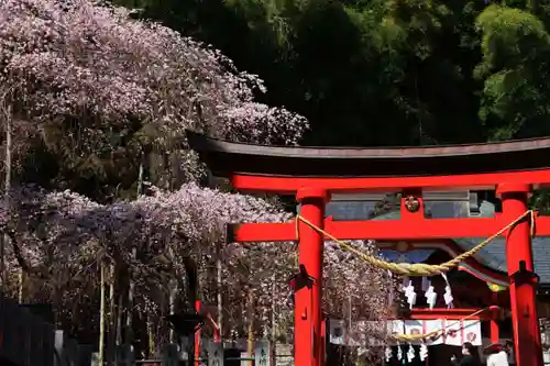 小川諏訪神社の鳥居