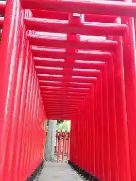 白狐山光星寺の鳥居