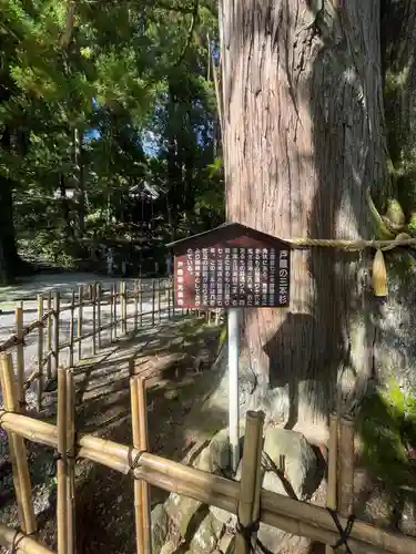 戸隠神社中社(長野県)