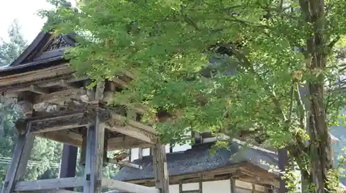 西福寺(新潟県)