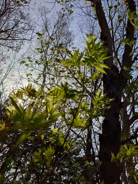 相馬神社(北海道)