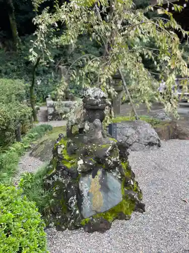 貫井神社の狛犬