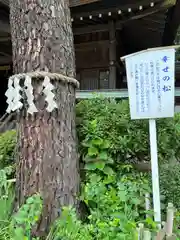 前鳥神社(神奈川県)