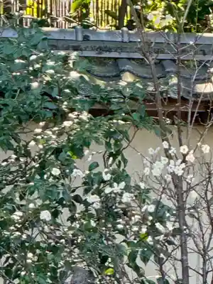 廬山寺(廬山天台講寺)(京都府)