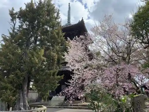 道成寺の塔