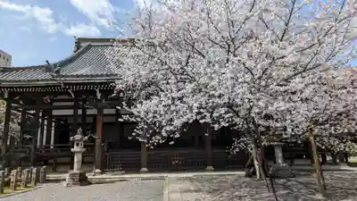 本法寺の本殿・本堂