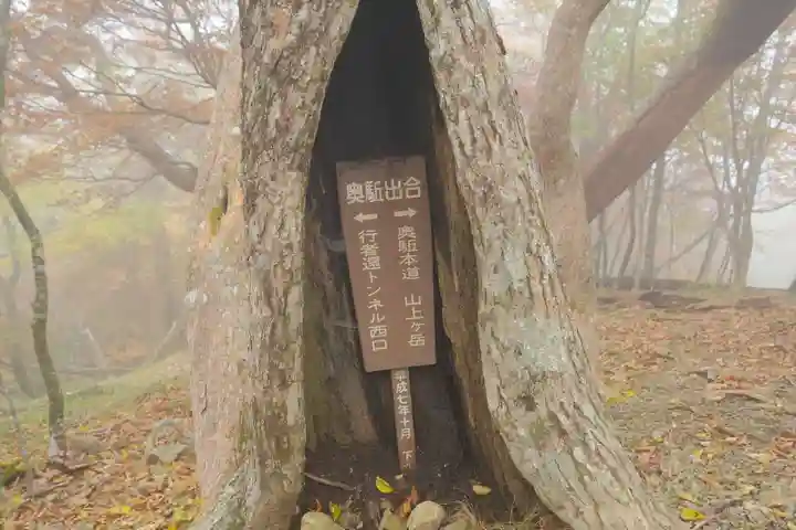 弥山神社(天河大辨財天社奥宮)の自然