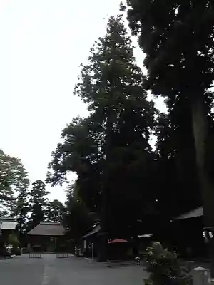 川勾神社のその他建物
