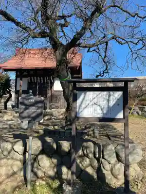 拝島天神社(東京都)