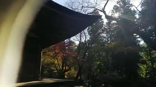 室生寺のその他建物